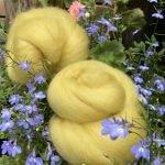 Goldenrod dyed wool by Judy Kavanagh